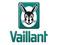 vaillant.cropped